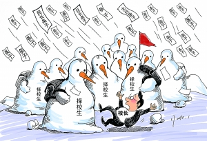 编辑精选封面